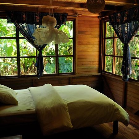 Huella Verde Rainforest Lodge Canelos Εξωτερικό φωτογραφία