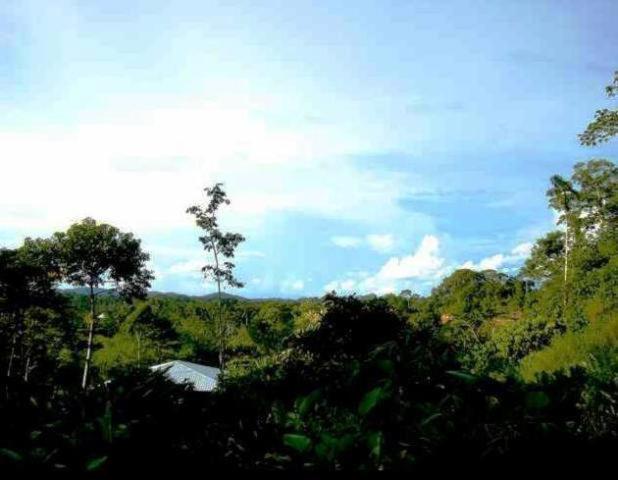 Huella Verde Rainforest Lodge Canelos Εξωτερικό φωτογραφία