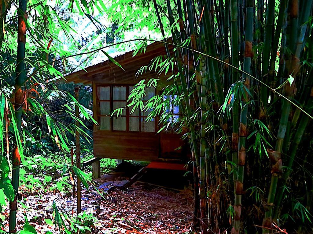 Huella Verde Rainforest Lodge Canelos Δωμάτιο φωτογραφία