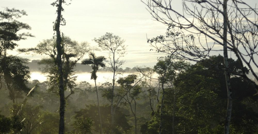 Huella Verde Rainforest Lodge Canelos Εξωτερικό φωτογραφία