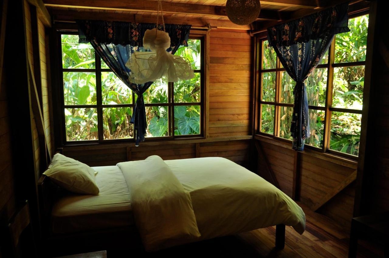 Huella Verde Rainforest Lodge Canelos Εξωτερικό φωτογραφία